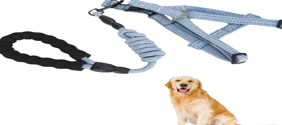 Top 10 Dog Harnesses for Safe Walks